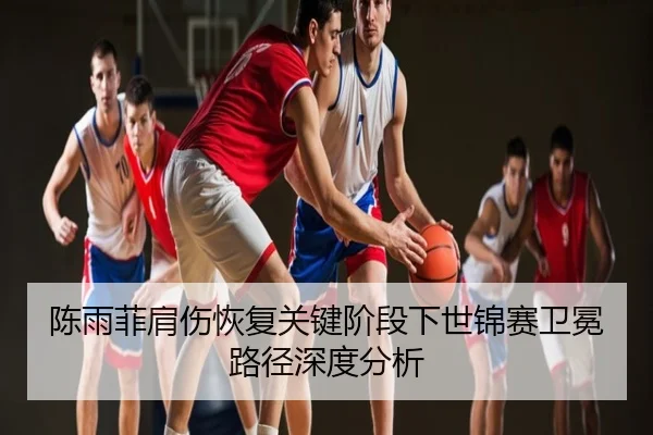 陈雨菲肩伤恢复关键阶段下世锦赛卫冕路径深度分析